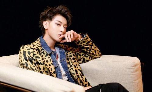 台湾狗仔爆料黄子韬视频,真相背后引热议